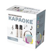 Караоке система, 2 микрофона